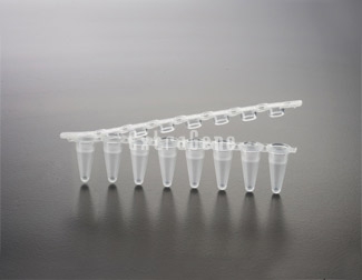 0.1ml PCR Tube Strip of 8 Tubes Flat Caps